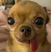 吉喔