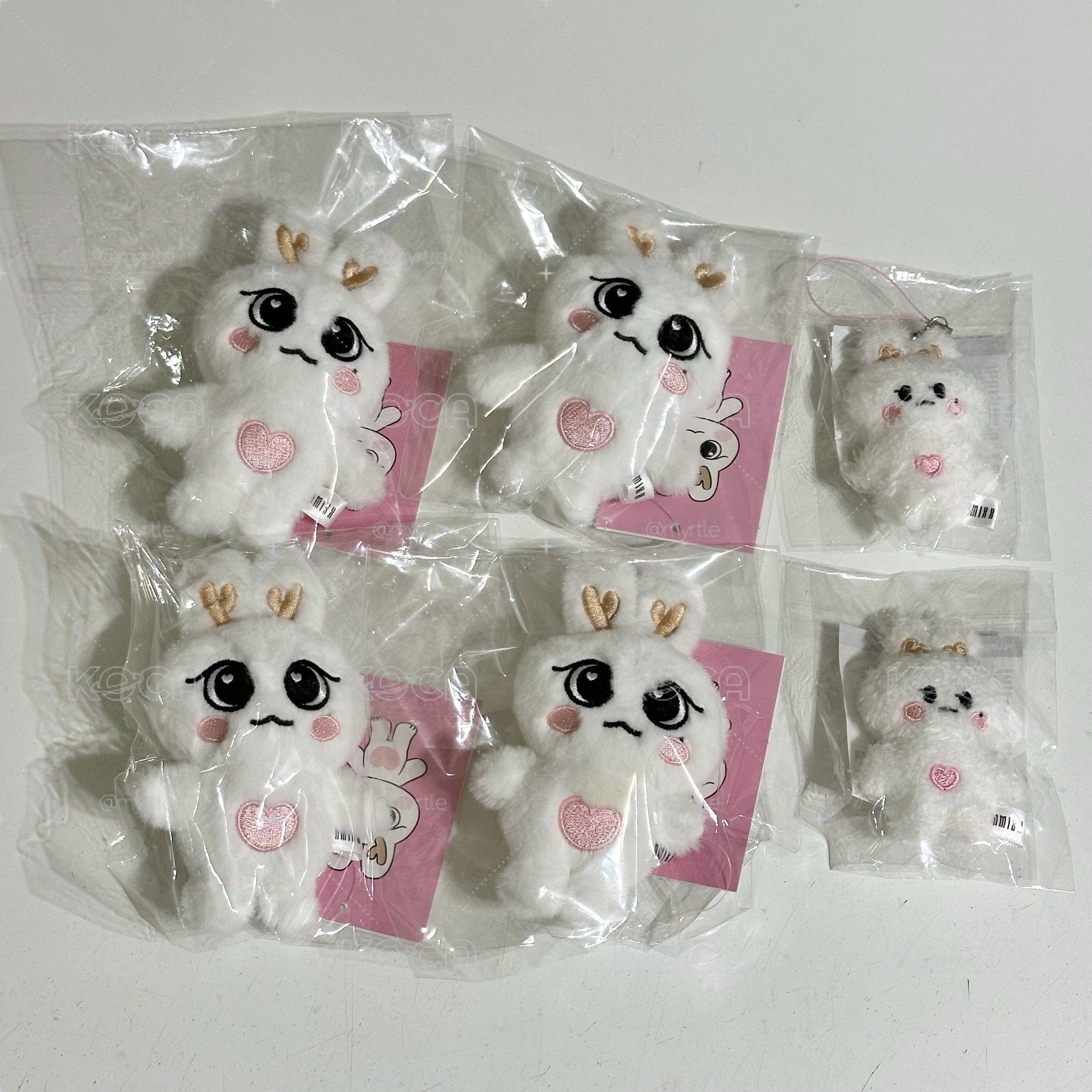 現貨｜飯咪薛大小娃