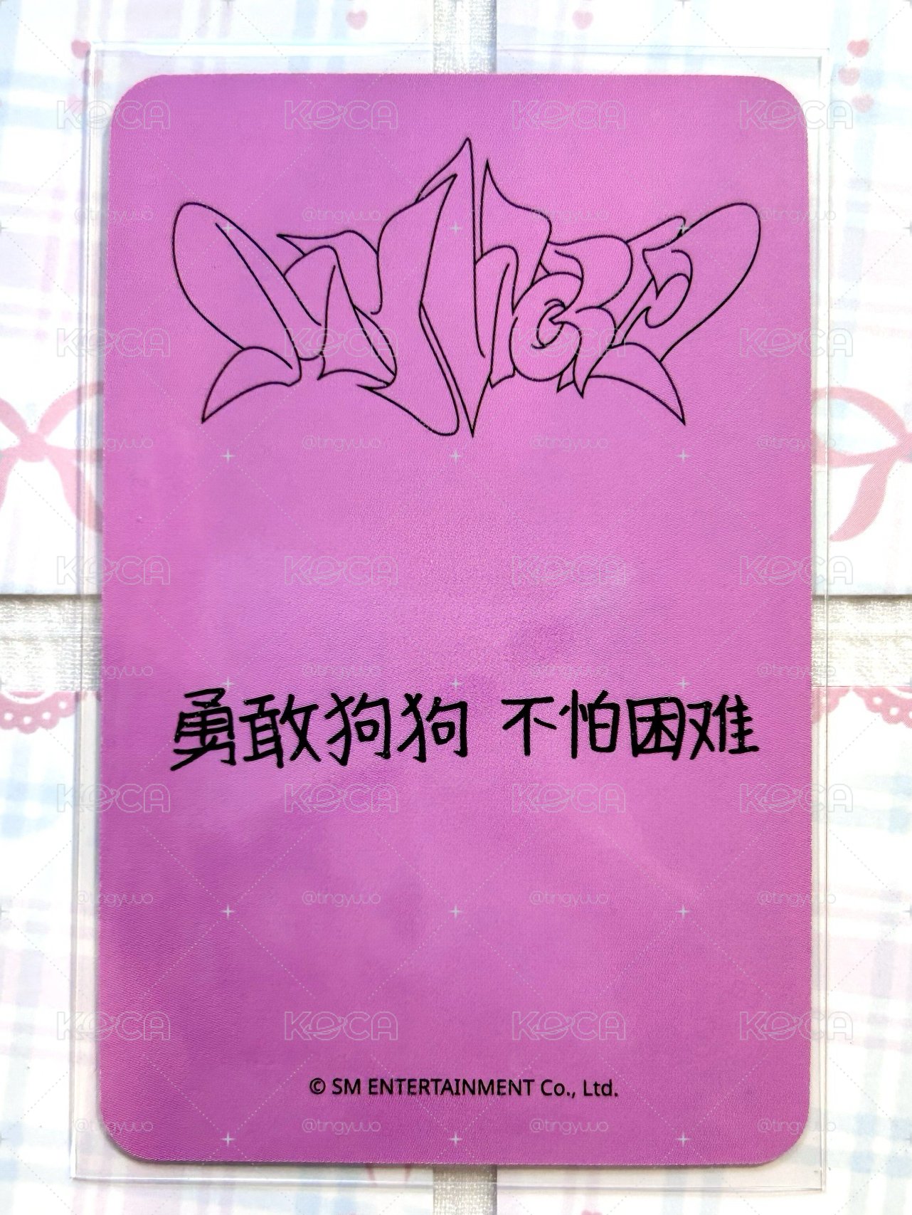 sr冬 勇敢狗狗 不怕困難