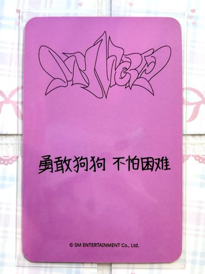 sr冬 勇敢狗狗 不怕困難