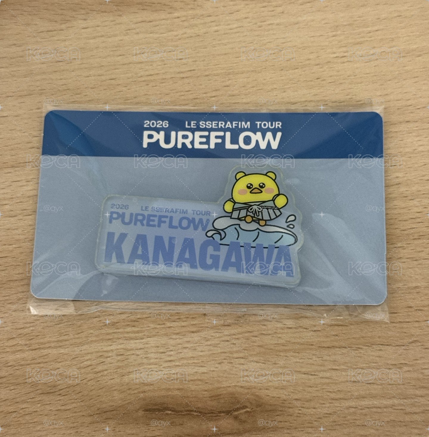 洪屁屁磁鐵