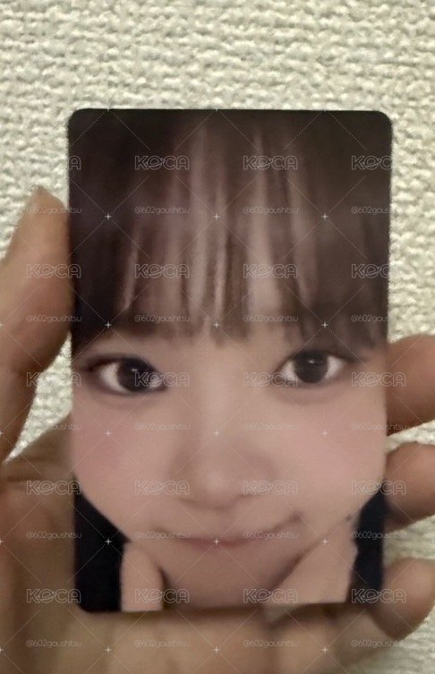 (非現貨 8月底到貨)日本 2026 PUREFLOW 巡演 粽卡 采源