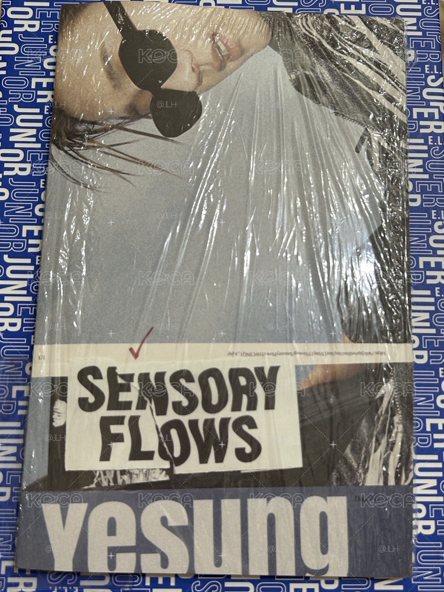 （空專*2）藝聲正規一Sensory Flows（Day 1& Day 2 ver.）