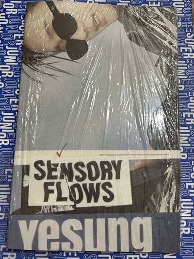 （空專*2）藝聲正規一Sensory Flows（Day 1& Day 2 ver.）