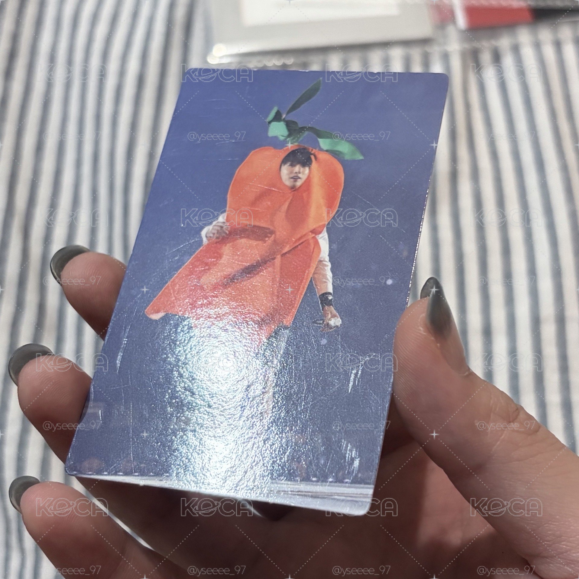 韓四期 蘿蔔國 背面鼠珍