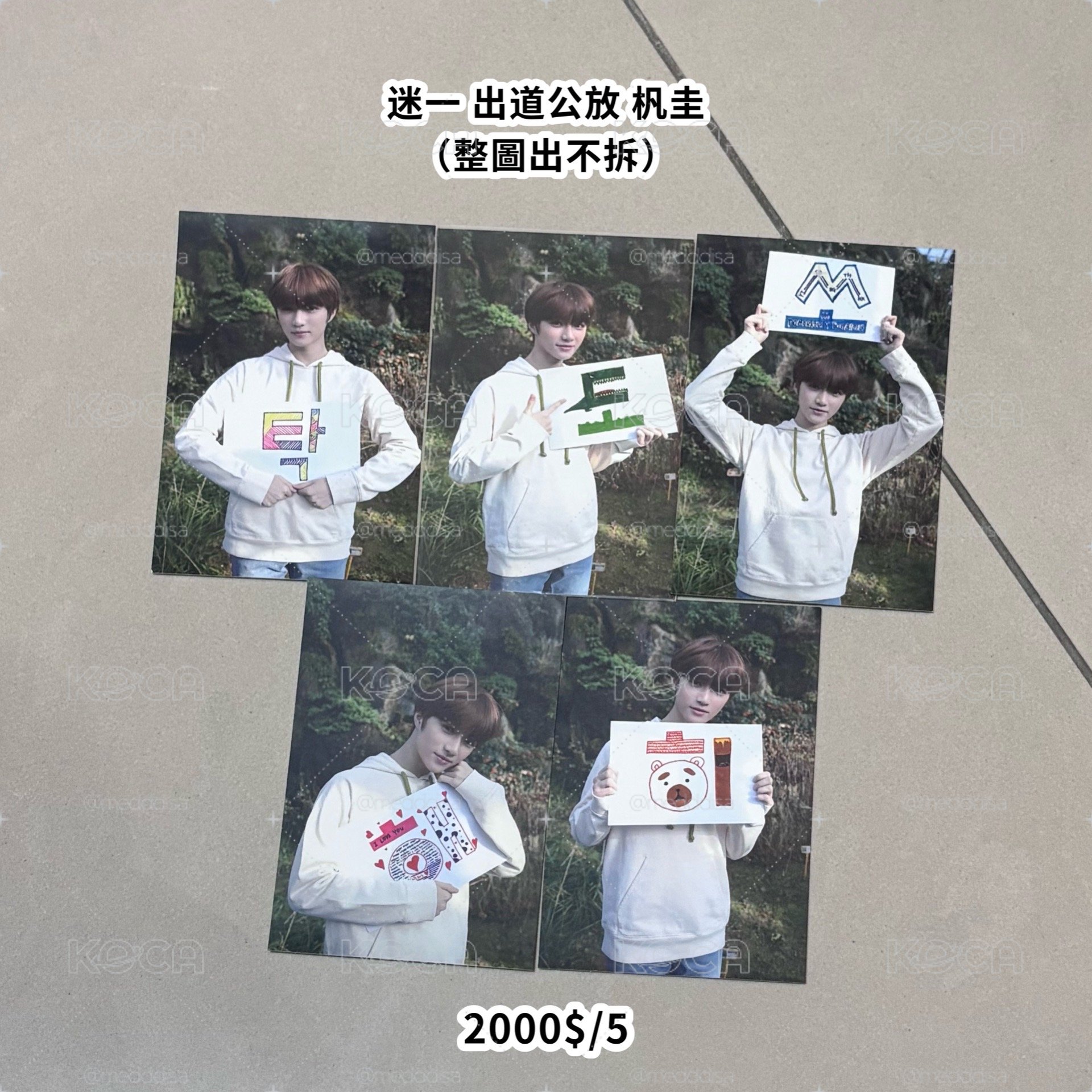 TXT 打歌卡公放 多圭 團體卡