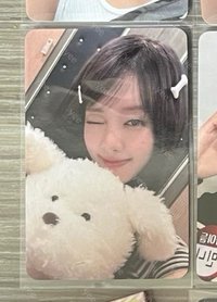 狗狗妮