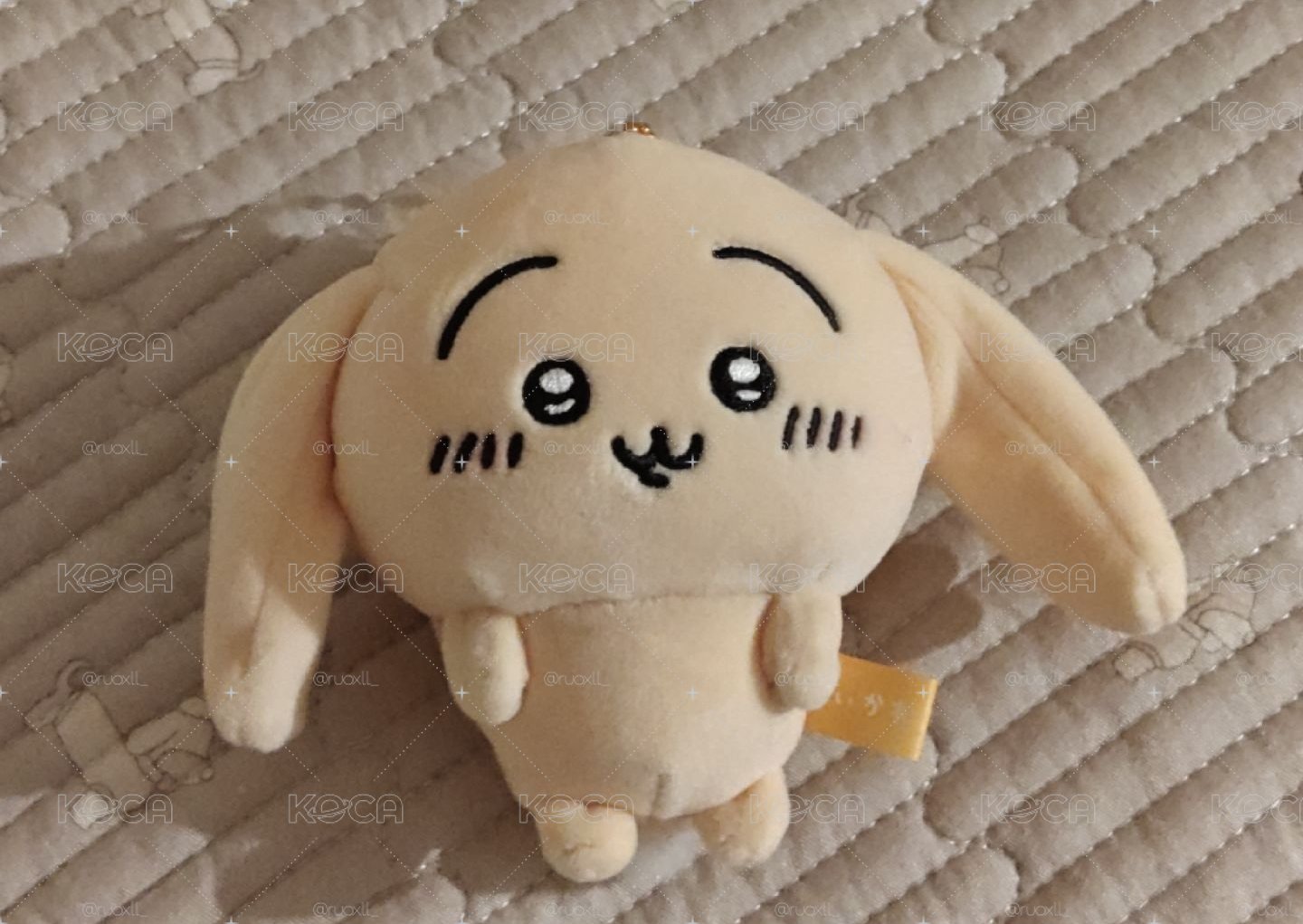 垂耳兔