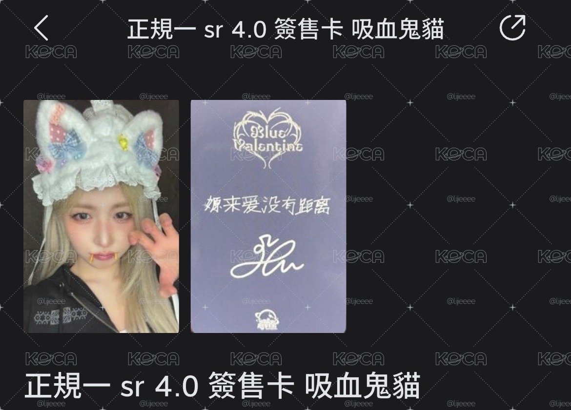 吸血鬼貓中背嫄