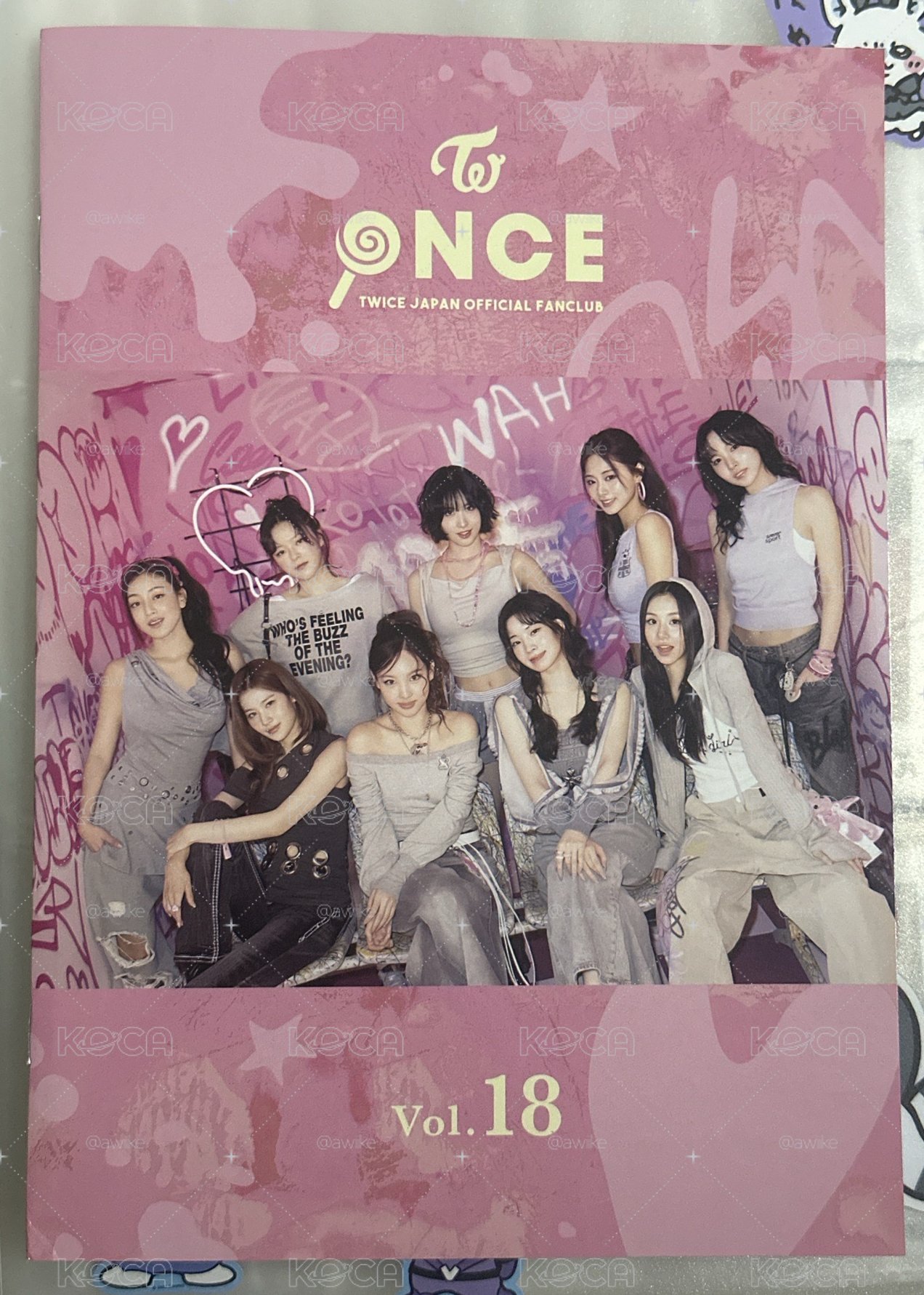 TWICE 日本會員雜誌 20元起標 OJ.vol18