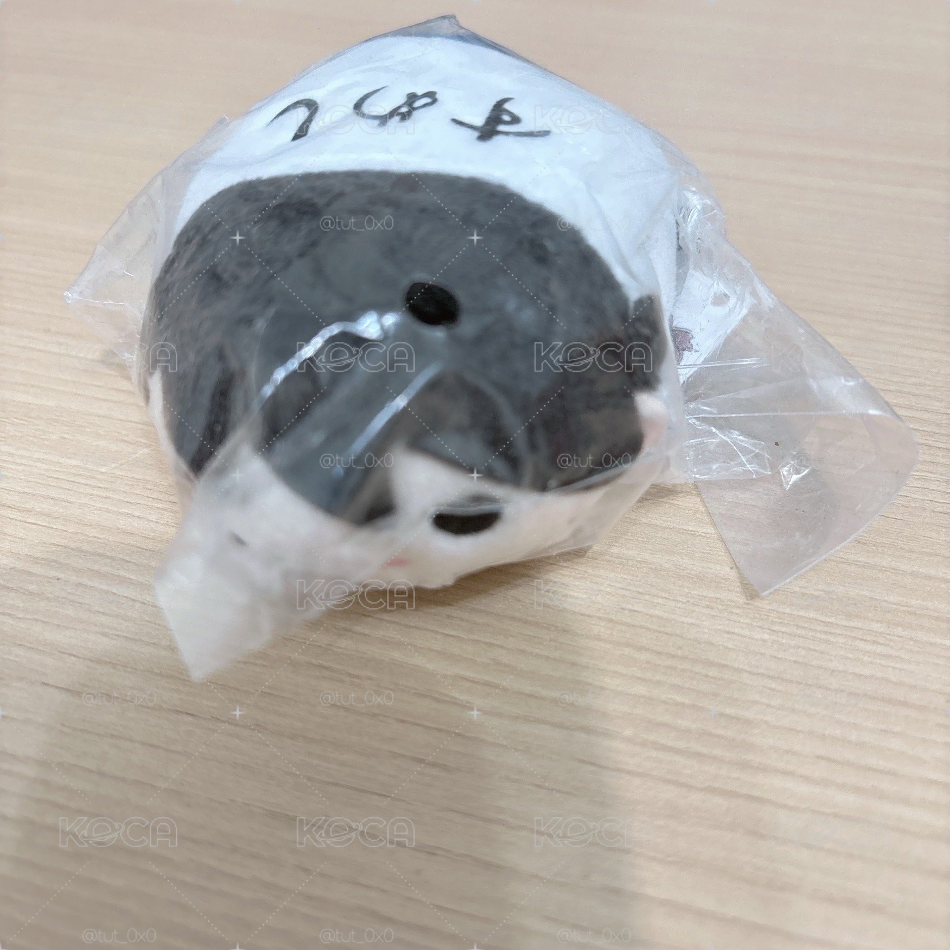 排少趴娃（請看完底下資訊再下單）