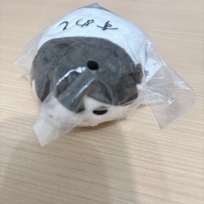 排少趴娃（請看完底下資訊再下單）