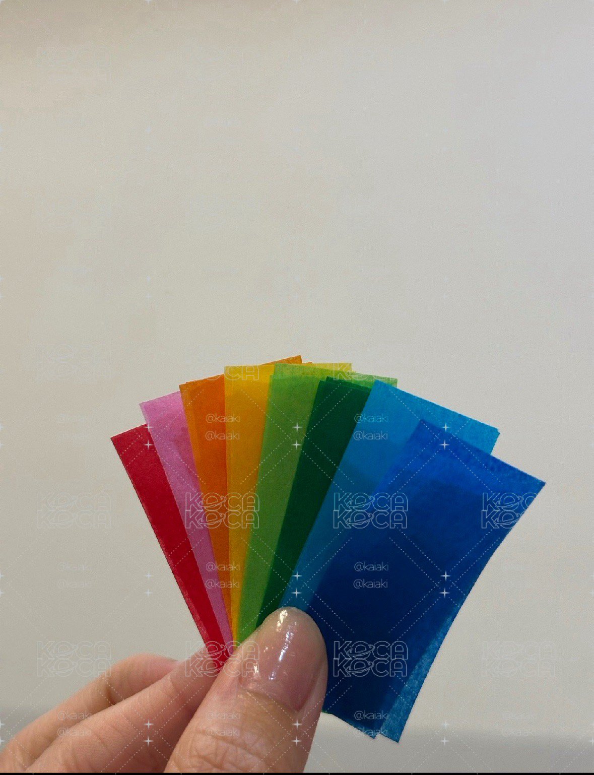 DxS 襯衫(L) 贈大邱和高雄紙花(圖2)