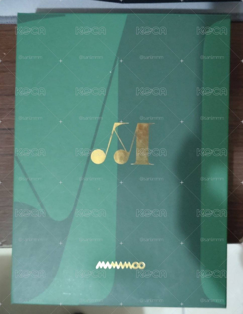 MAMAMOO Travel 有損空專
