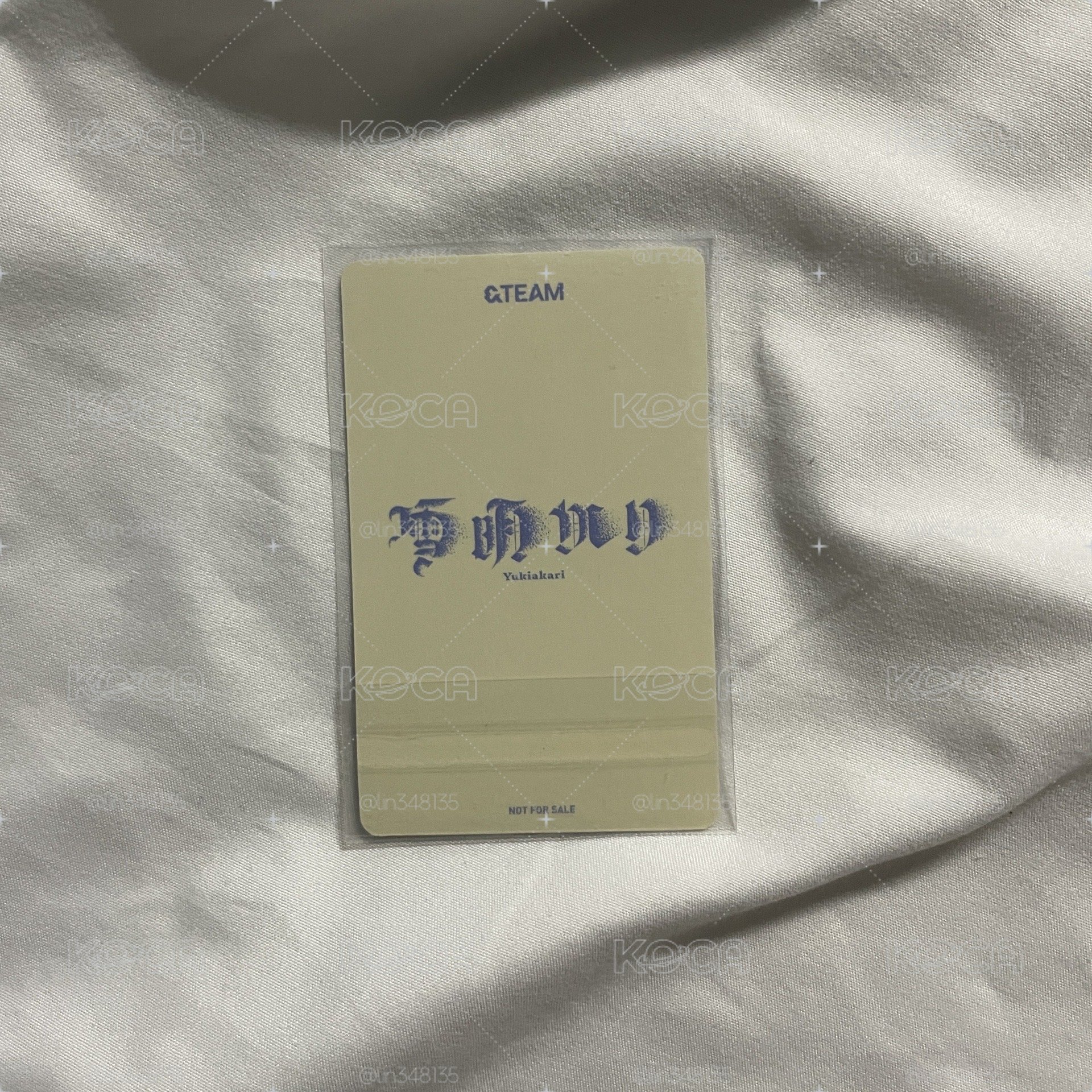NICHOLAS 雪明 環球動物卡