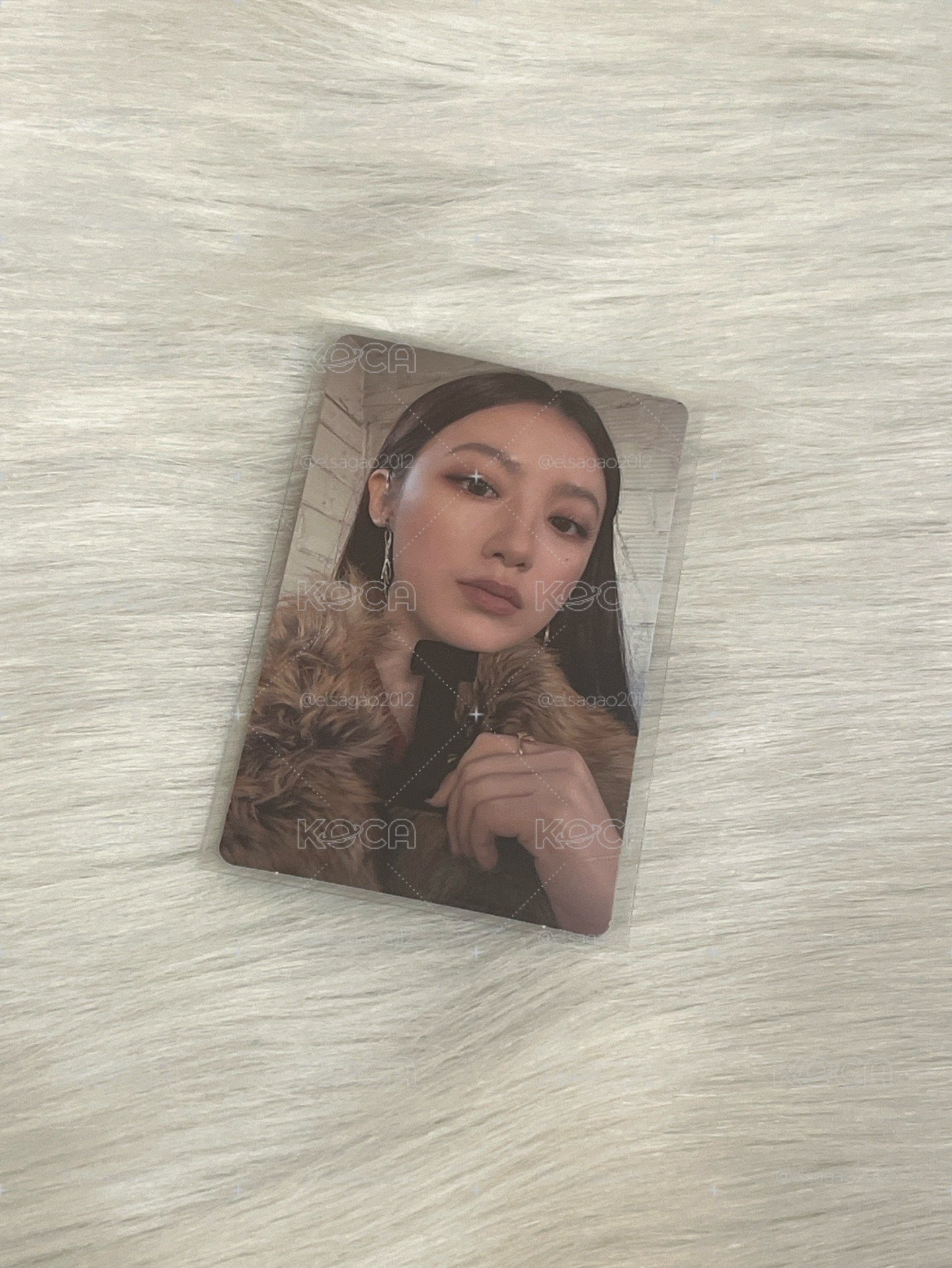 We are wvs 預售 特典卡 shuhua