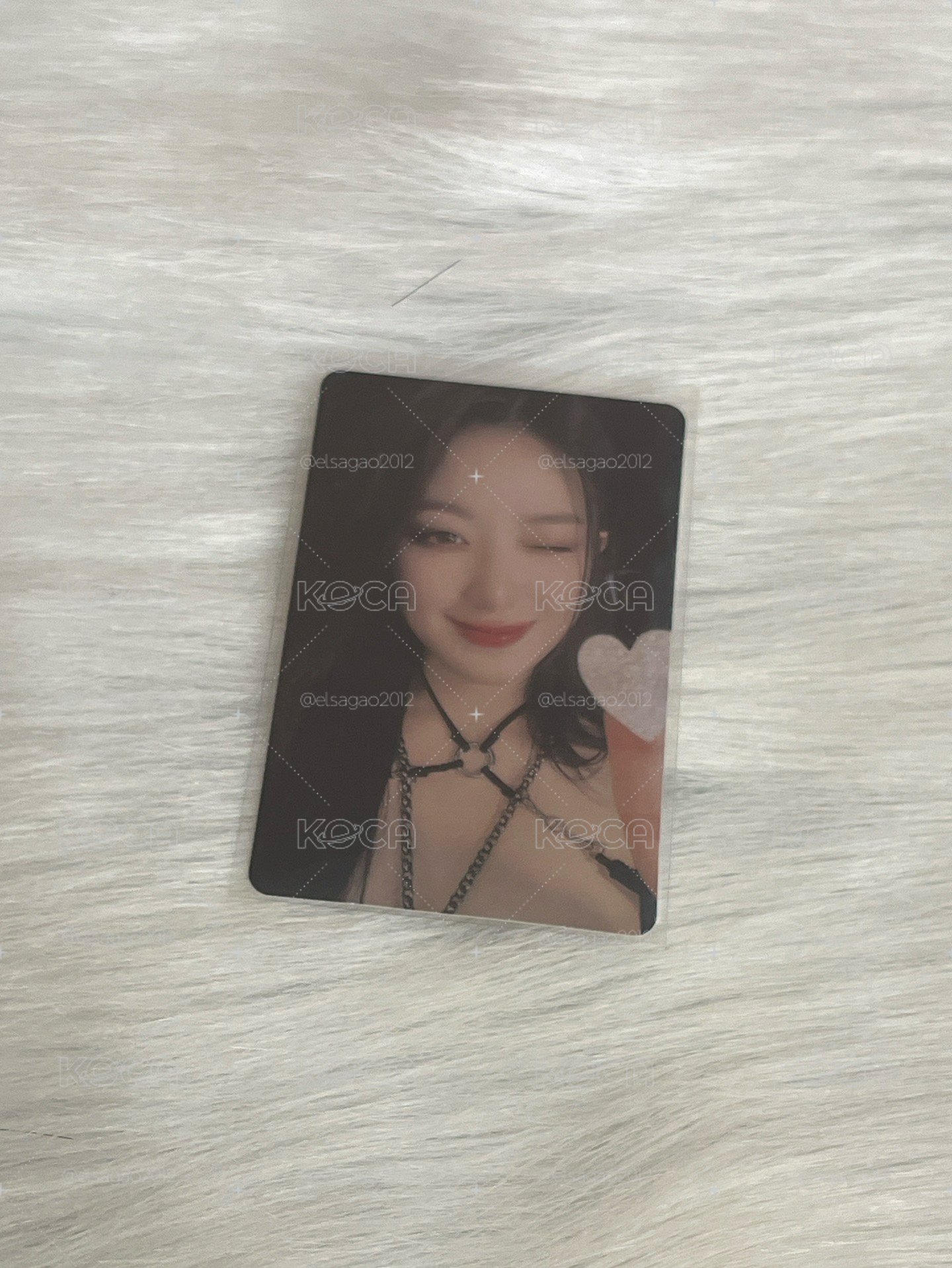 24’世巡演唱會 iDOL 周邊卡 shuhua