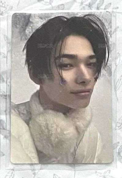 正二後續Wvs特典