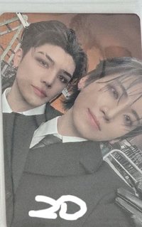 月狼版貓貓狗狗
