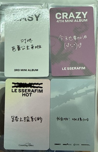 葉中背盤