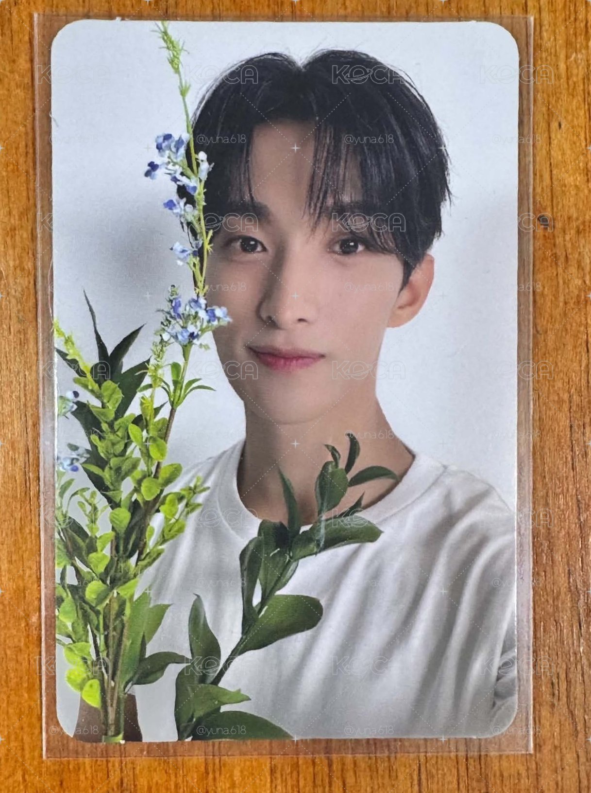 精選專 拿花碩