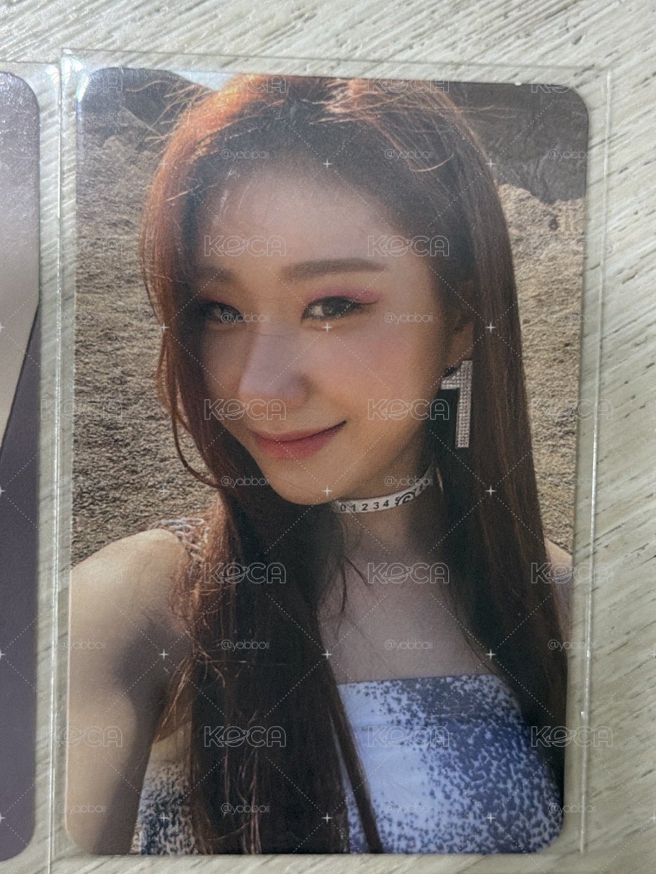 美美領