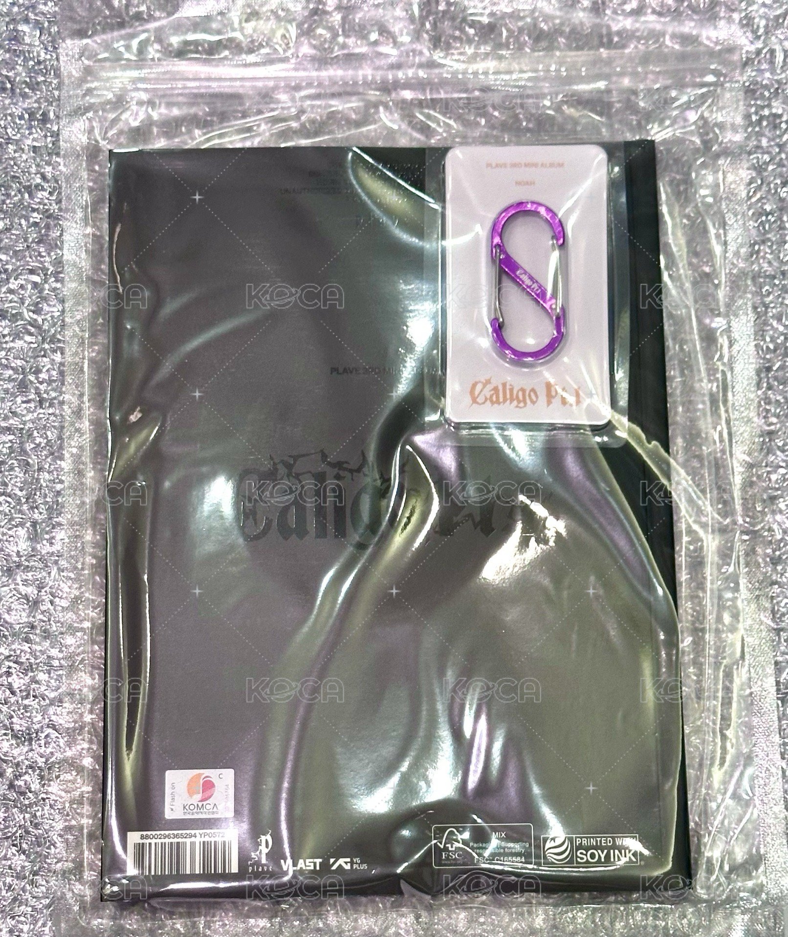 諾亞登山扣+全新團專