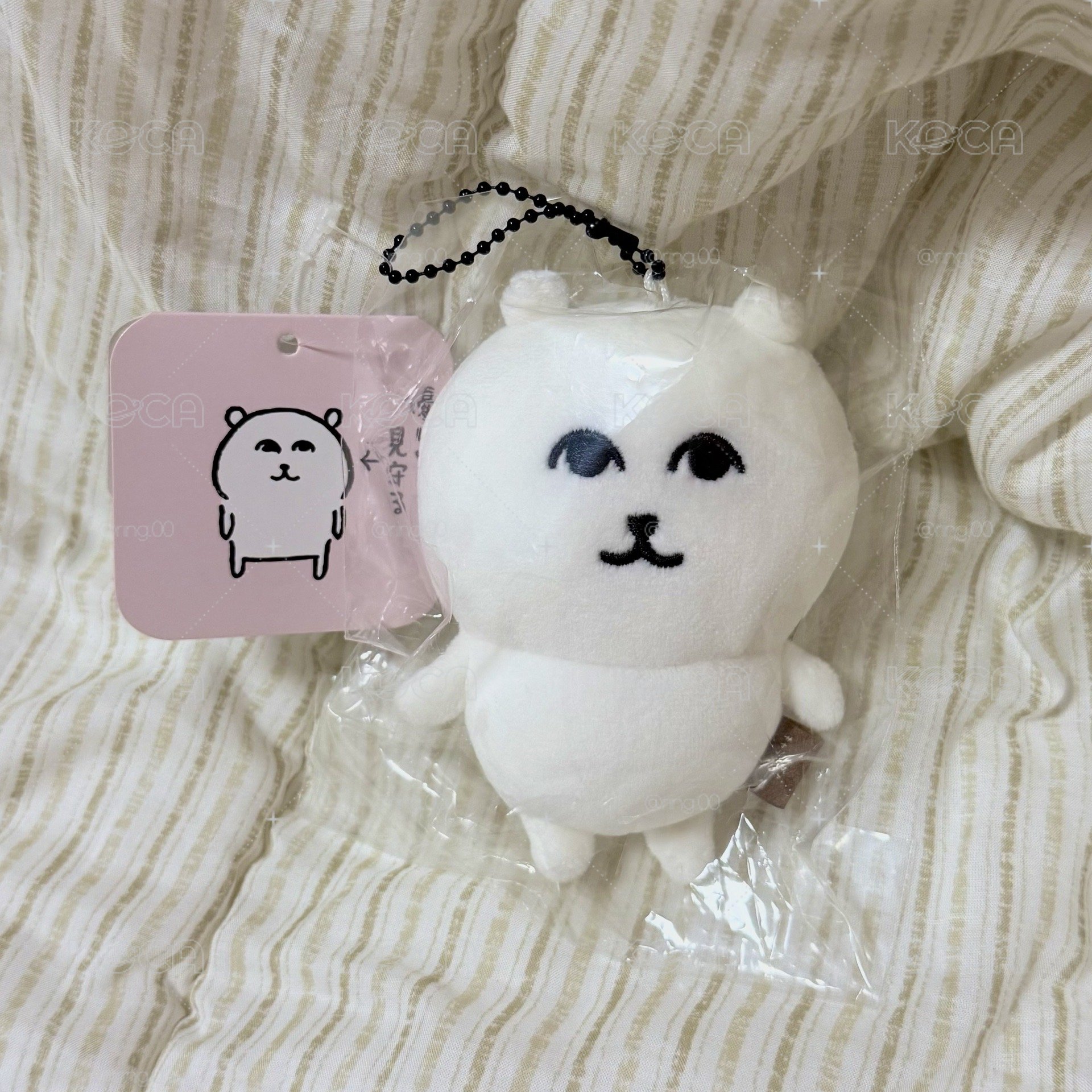 溫柔熊 趙哥