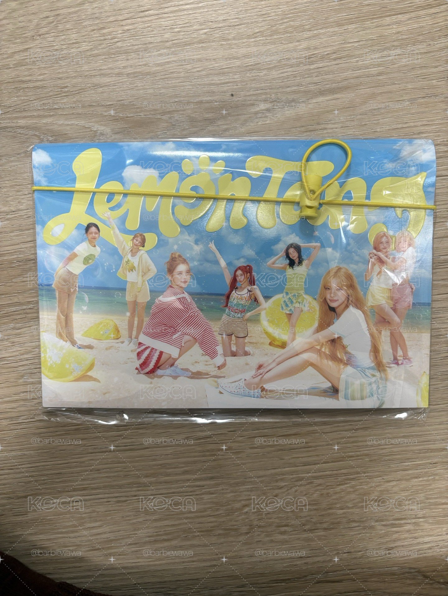 Hearts2hearts Lemon Tang photo book 空專