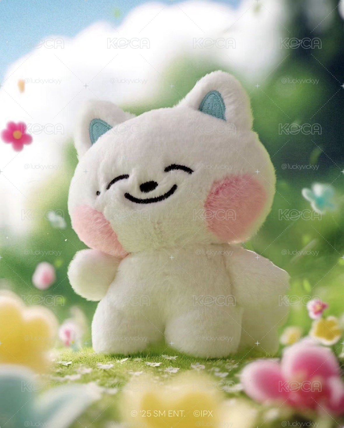 dreamiez 原皮諾含卡