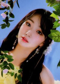 23’JP FM 隨機卡 