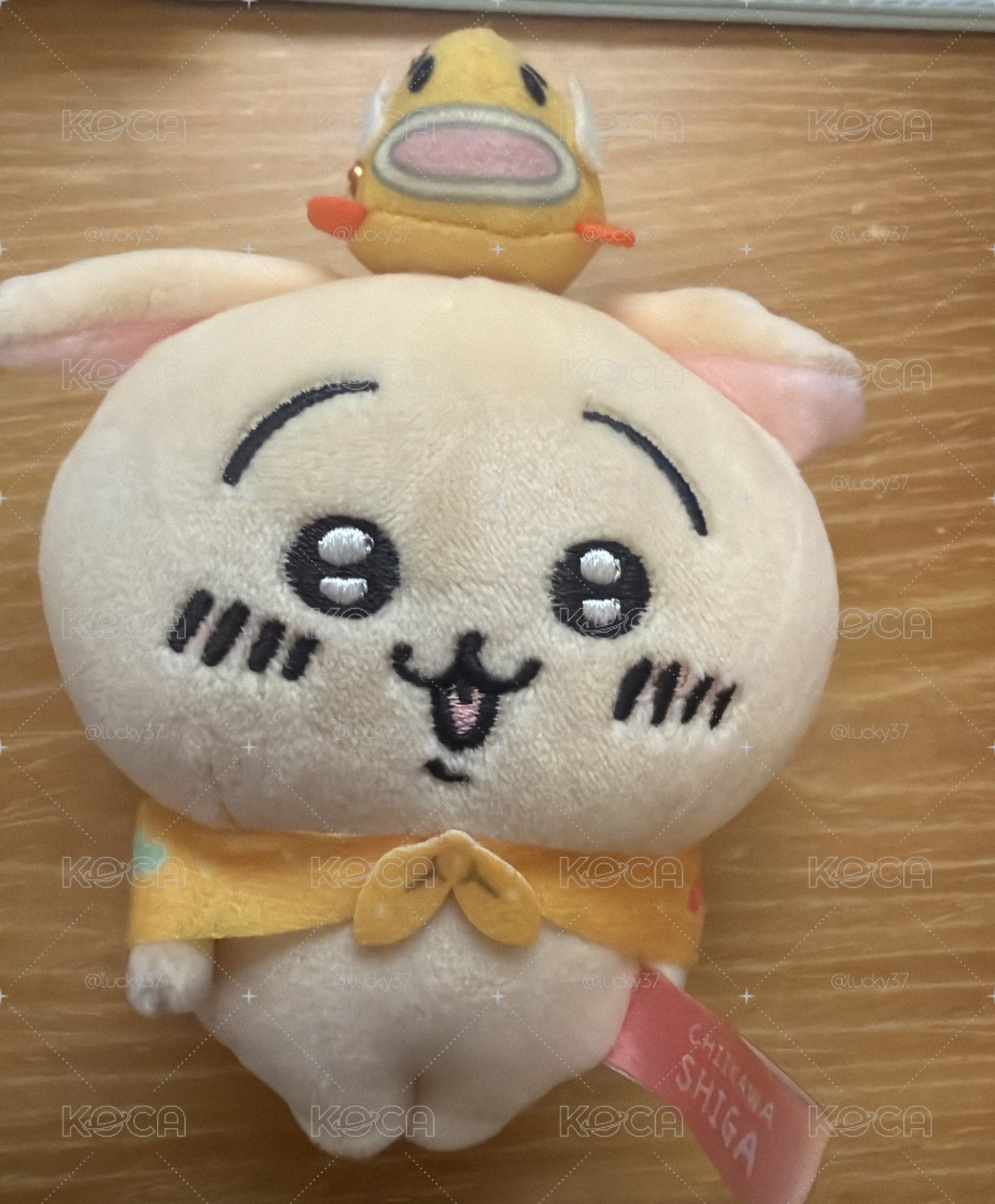 烏薩奇