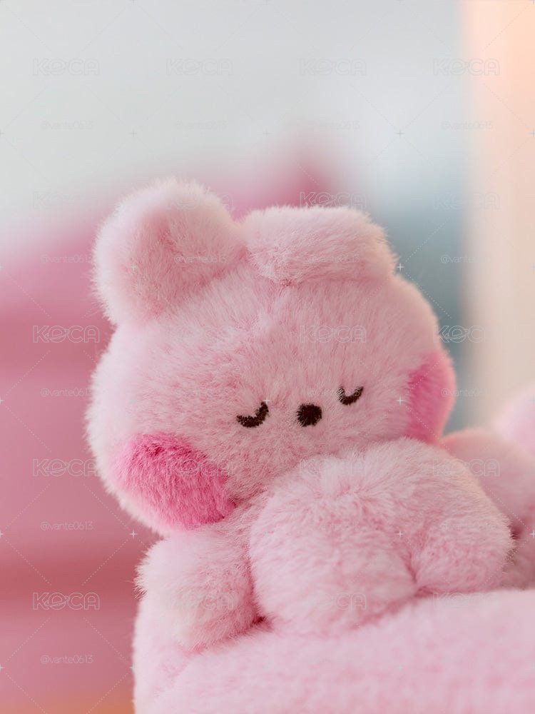 bt21午睡沙發娃 cooky💕
