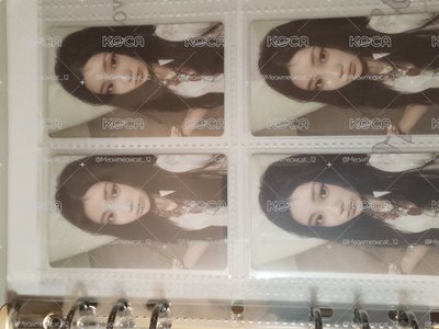禧大盤+親簽專（團）