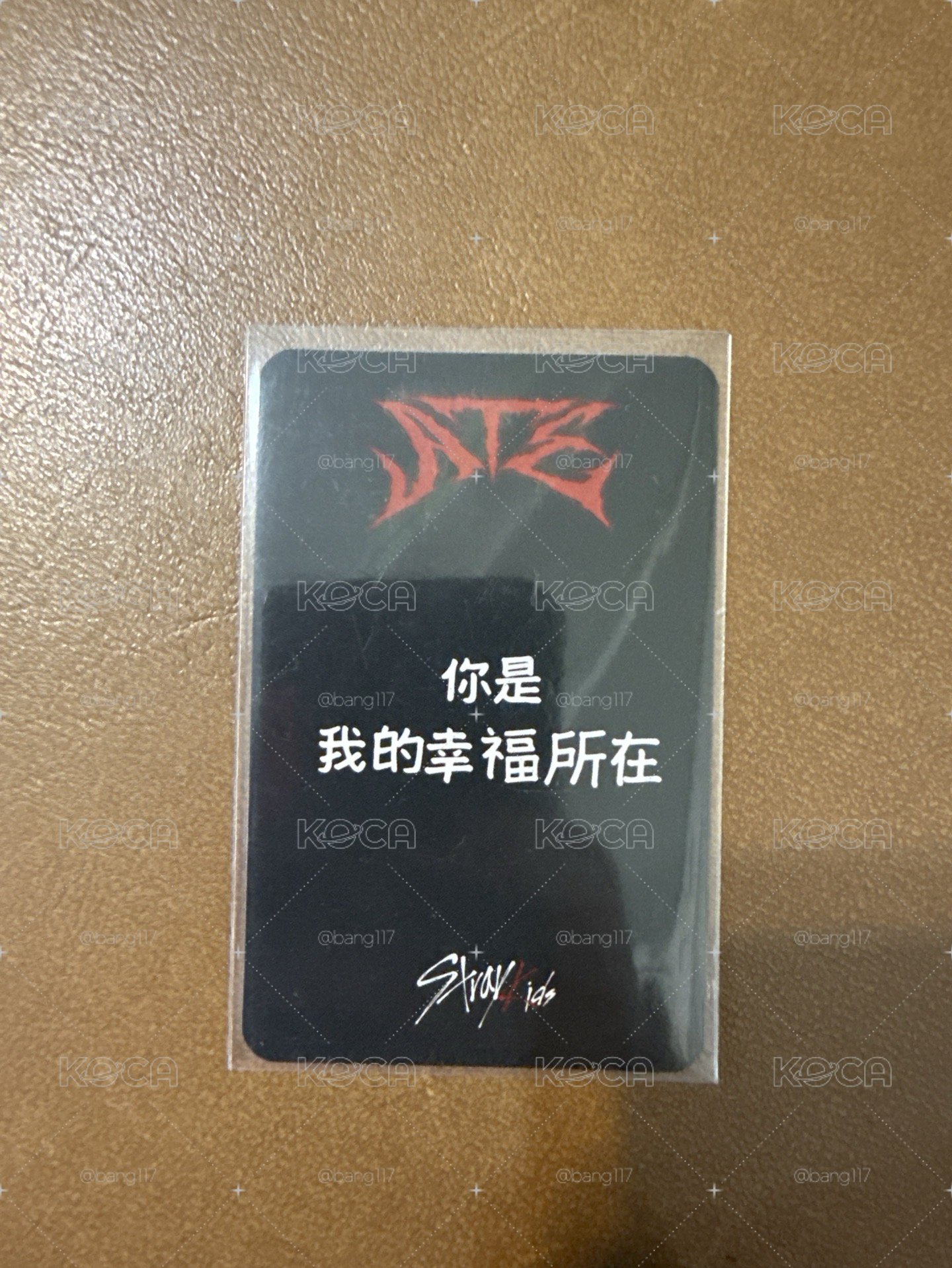 燦 sR特典卡