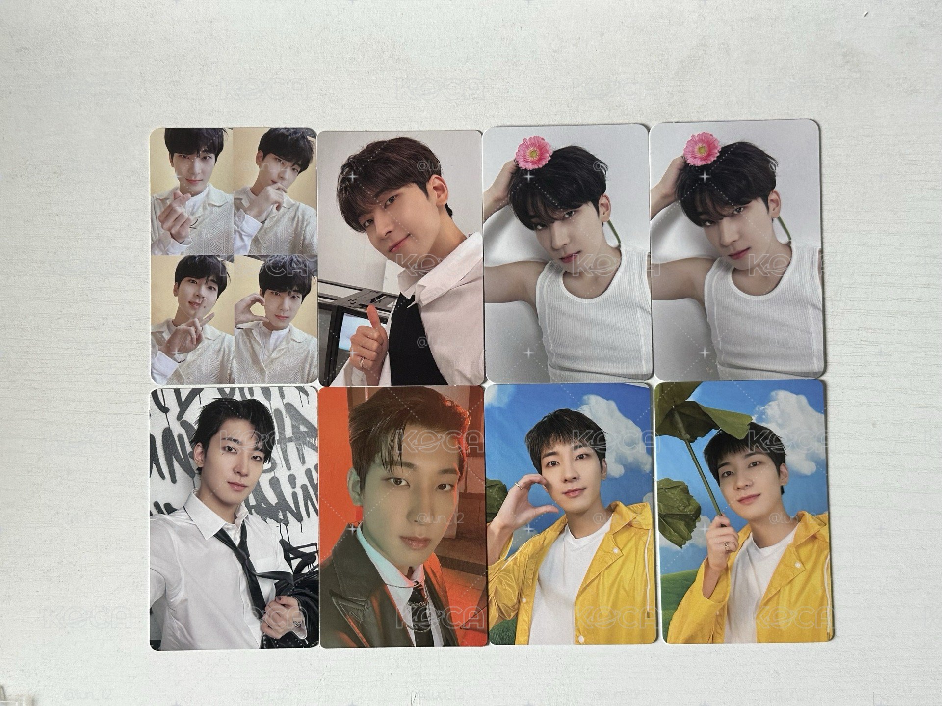 圓佑 小盤