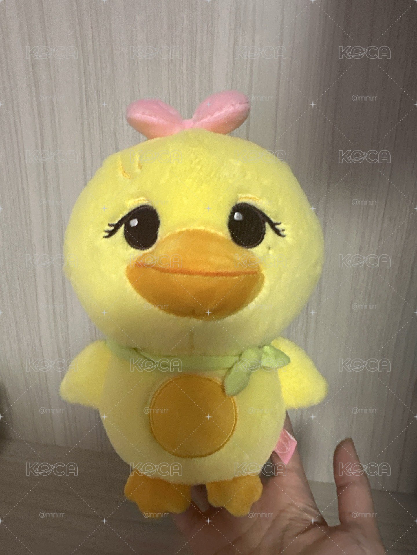 Lisa大娃