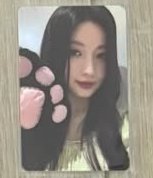 角23
