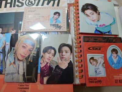 Straykids THIS & THAT 全專已拆專