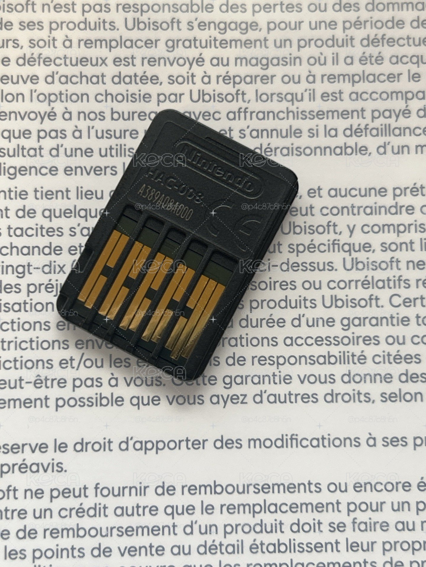 舞力全開2022
