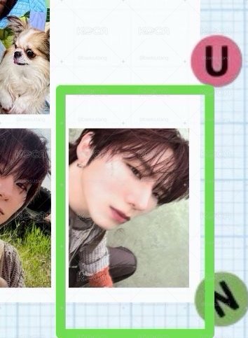 BORDERLINE DIGIPACK 小卡