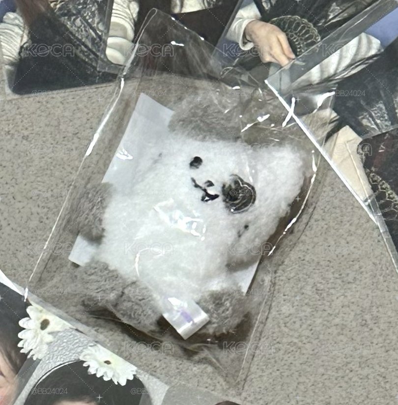 潦草志 小盤