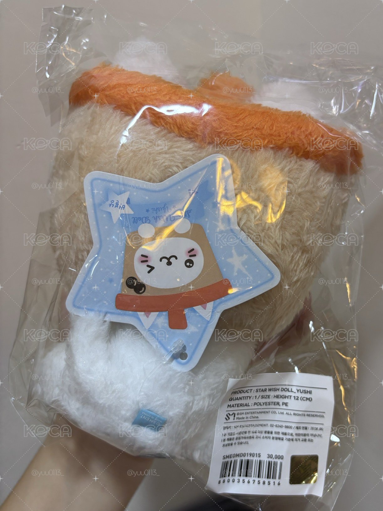⭐️星星奶茶貓🪽