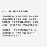 （ 重大損況之說明 ）