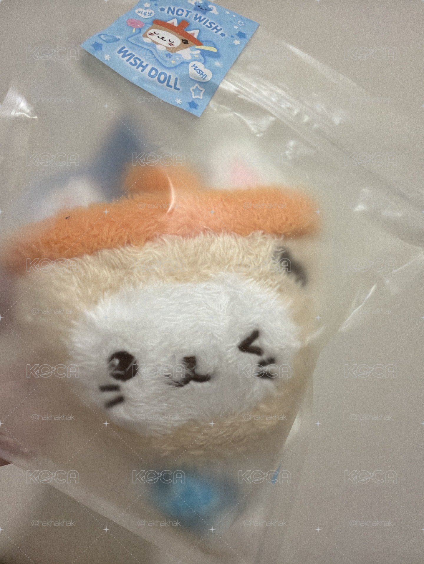 奶茶貓現貨🐈