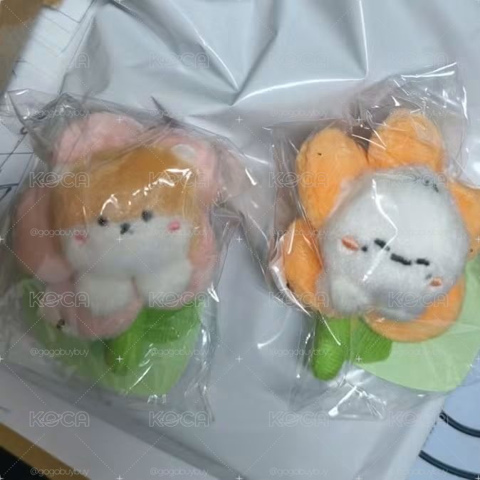 MX 花花娃