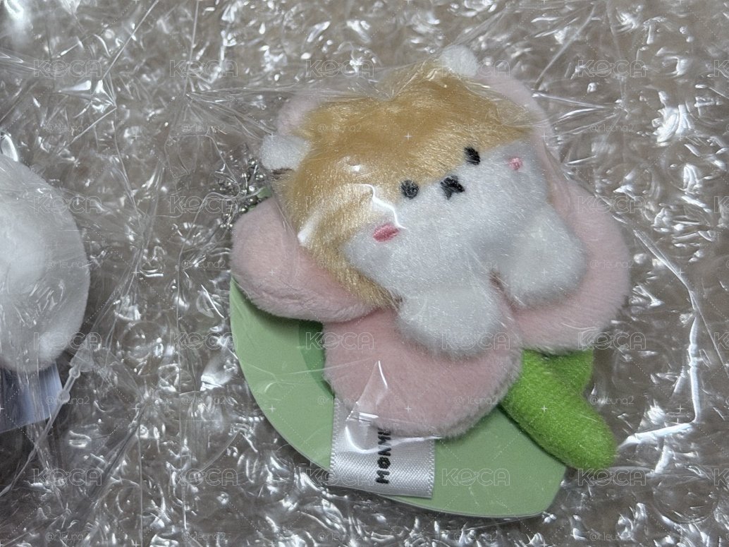 MX|櫻花🐹