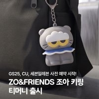 ZO&FRIENDS Tmoney Card