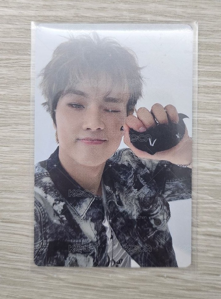 BM 毛絨卡冊🐱