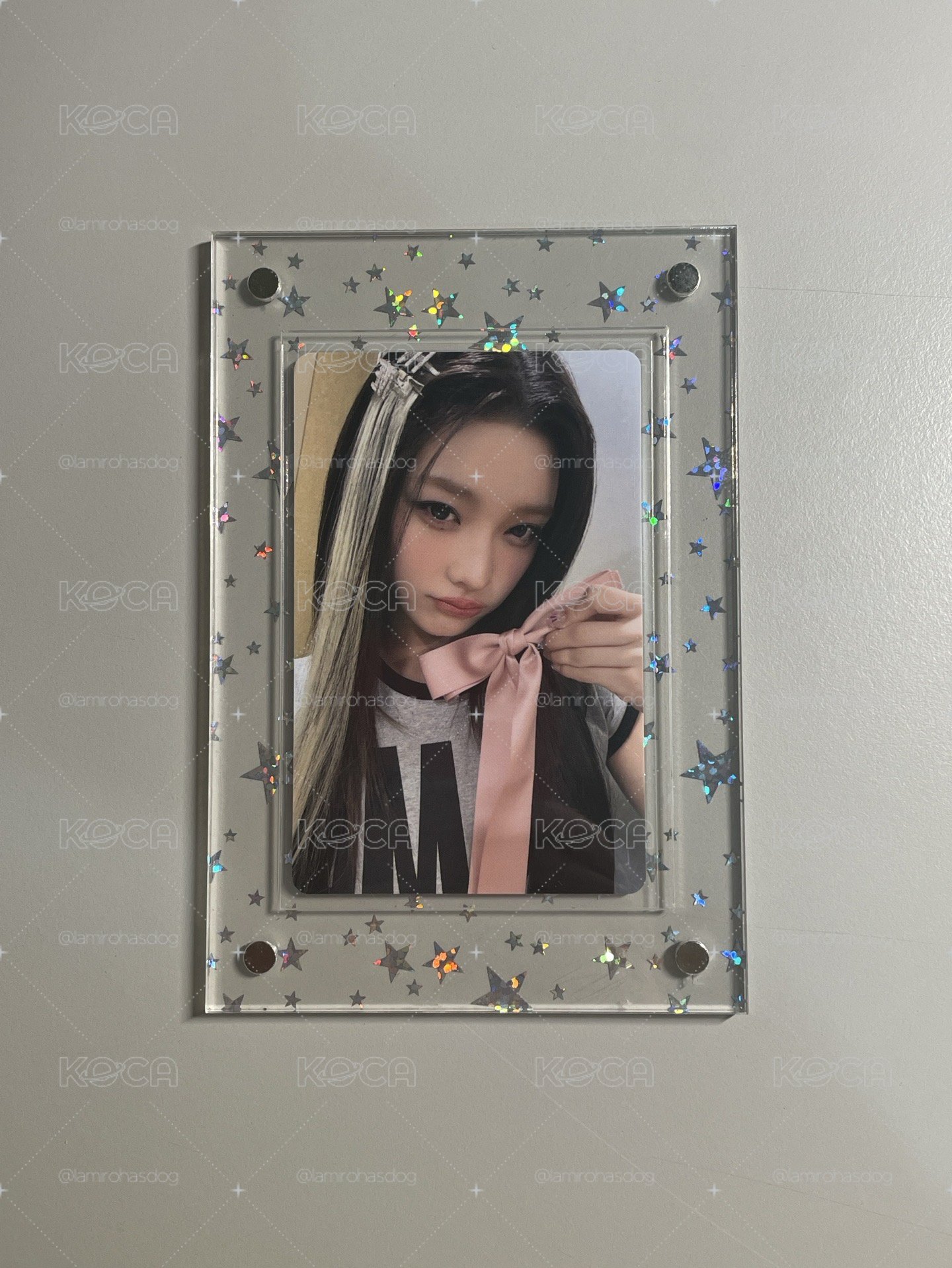 蝴蝶結🎀羽